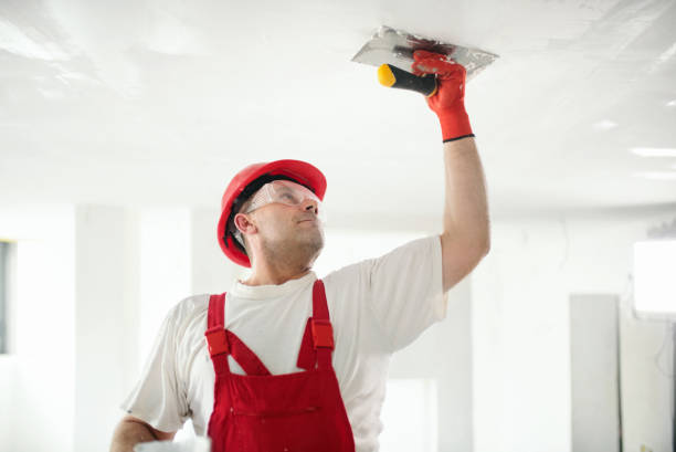 Best Painting for New Construction  in New Hackensack, NY