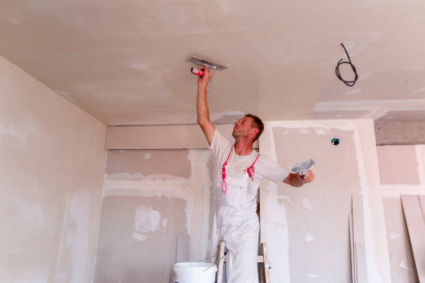 Best Drywall Removal and Disposal  in New Hackensack, NY